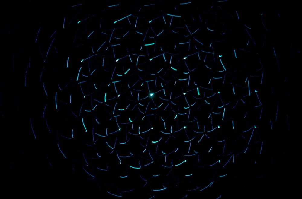 How Anti-Detect Browsers Support Privacy and Testing